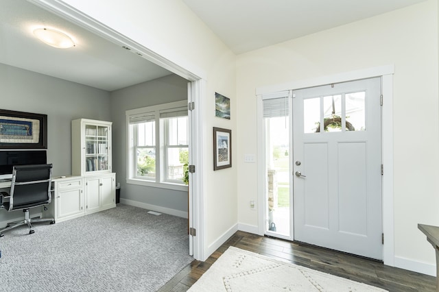 927 Southwell Enclave NE, Byron, MN 55920 - entrance foyer with dark wood-style floors and baseboards