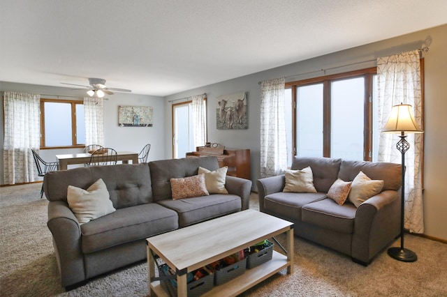 208 Concord St, West Concord, MN 55985 - carpeted living room with plenty of natural light and a ceiling fan