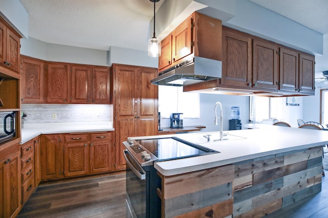 208 Concord St, West Concord, MN 55985 - kitchen with under cabinet range hood, brown cabinetry, dark wood-style flooring, and tasteful backsplash