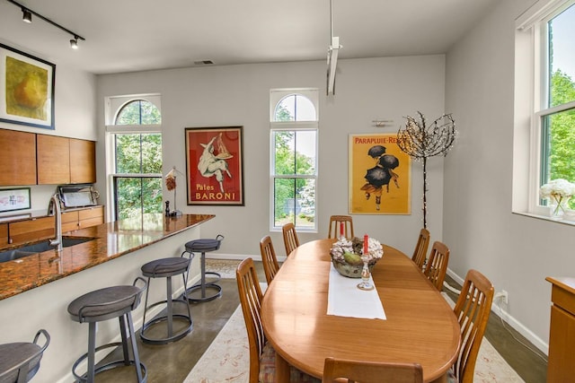 512 Laurel Ave Unit 1, Saint Paul, MN 55102 - dining space featuring rail lighting and plenty of natural light