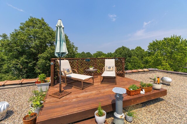 512 Laurel Ave Unit 1, Saint Paul, MN 55102 - view of wooden terrace