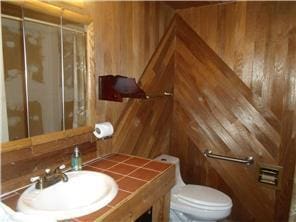 1356 Arden View Dr, Arden Hills, MN 55112 - bathroom with vanity, wooden walls, toilet, and a shower stall