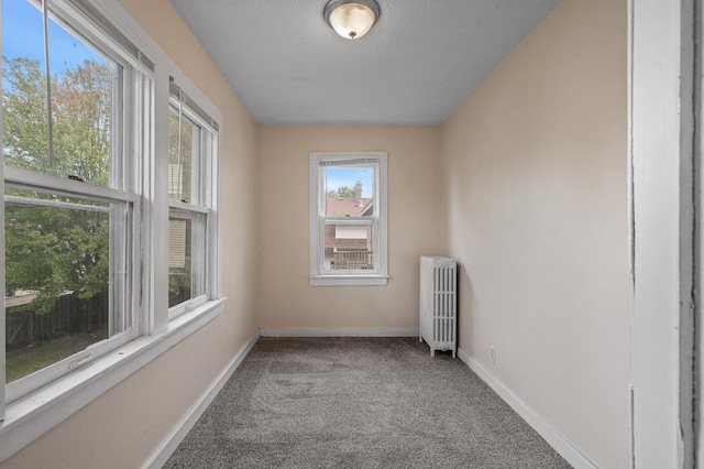 3328 5th Ave S, Minneapolis, MN 55408 - spare room with radiator heating unit, carpet floors, baseboards, and a textured ceiling