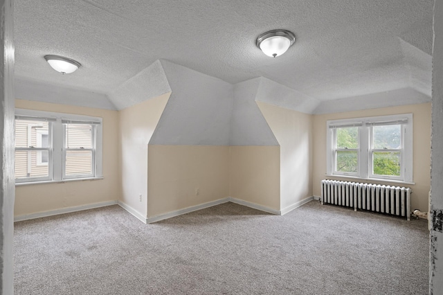 3328 5th Ave S, Minneapolis, MN 55408 - bonus room with radiator, vaulted ceiling, carpet, a textured ceiling, and baseboards