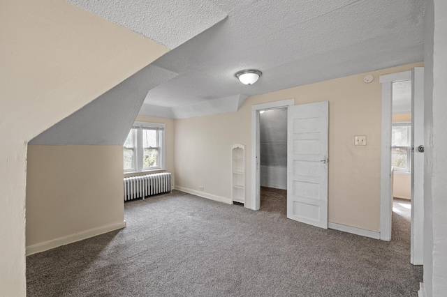 3328 5th Ave S, Minneapolis, MN 55408 - bonus room featuring radiator heating unit, carpet floors, a textured ceiling, and baseboards