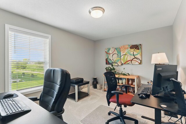 1141 Middlefield Rd, Medina, MN 55340 - office area with light colored carpet