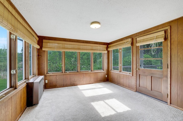 11418 Friar Ln, Minnetonka, MN 55305 - unfurnished sunroom with wood walls, a textured ceiling, carpet floors, and baseboards
