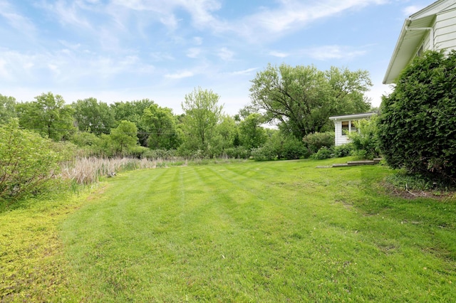 11418 Friar Ln, Minnetonka, MN 55305 - view of green lawn
