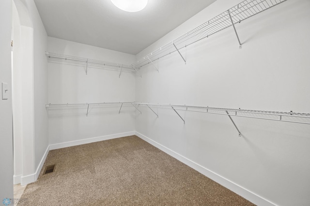8378 62nd St S, Horace, ND 58047 - spacious closet with carpet floors