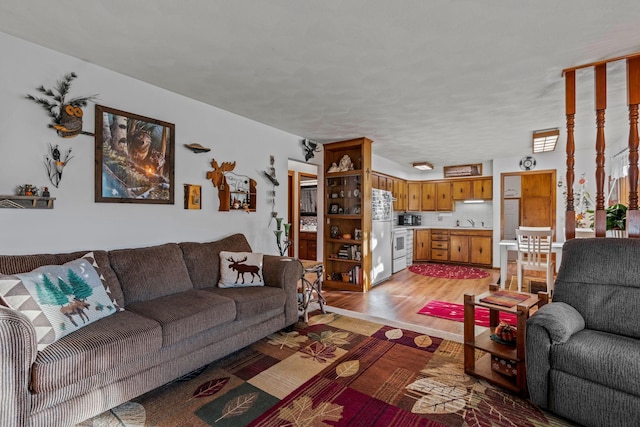208 1st Ave NE, Geneva, MN 56035 - living room with light wood finished floors