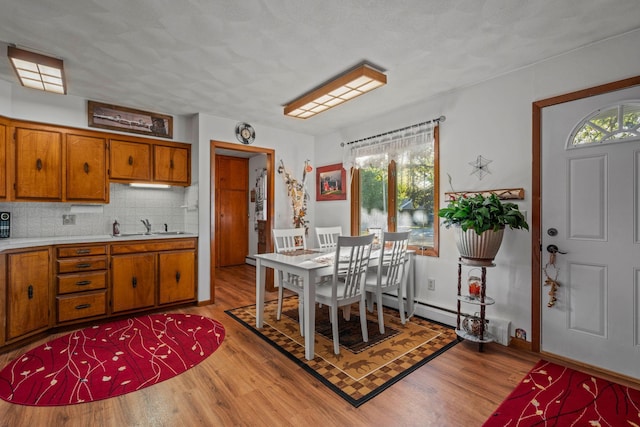 208 1st Ave NE, Geneva, MN 56035 - dining space with light wood-type flooring and baseboards