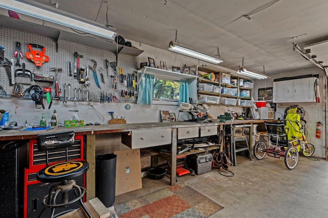 208 1st Ave NE, Geneva, MN 56035 - garage with a workshop area