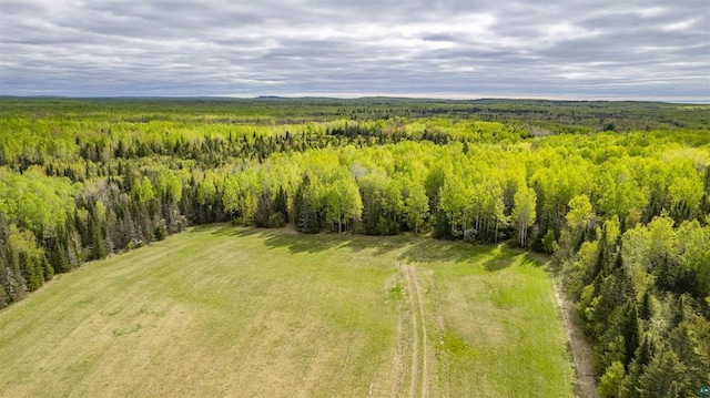 63XX Homestead Rd, Duluth, MN 55804