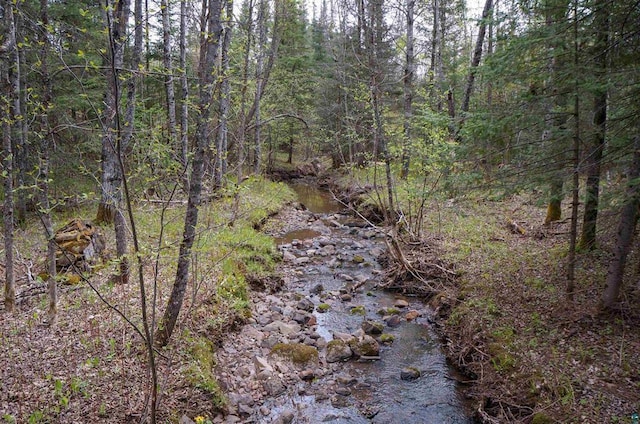 63XX Homestead Rd, Duluth, MN 55804