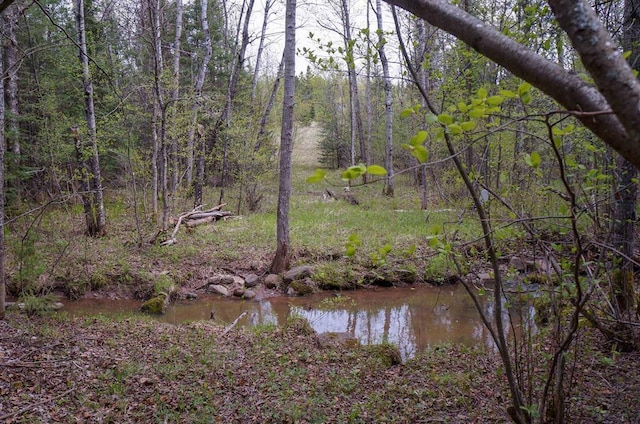 63XX Homestead Rd, Duluth, MN 55804