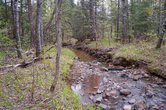63XX Homestead Rd, Duluth, MN 55804