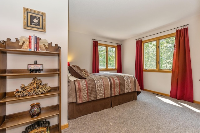 8935 180th St W, Faribault, MN 55021 - carpeted bedroom featuring baseboards
