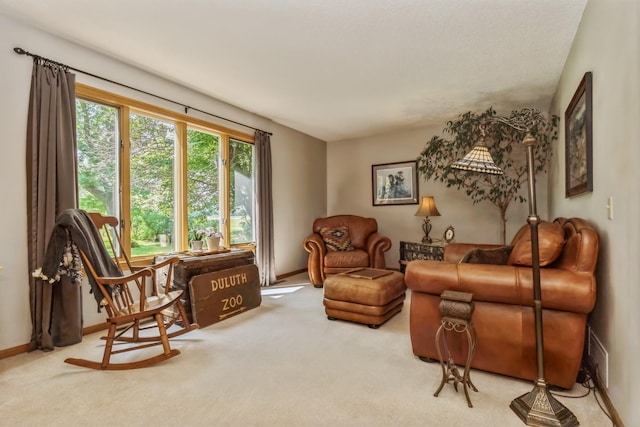 8935 180th St W, Faribault, MN 55021 - living area with carpet flooring and baseboards
