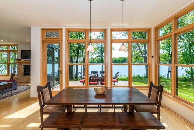 19260 Lakewood Dr, Deerwood Twp, MN 56444 - dining space featuring a water view, healthy amount of natural light, light wood-style floors, and a fireplace