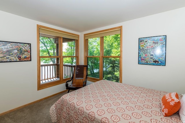 19260 Lakewood Dr, Deerwood Twp, MN 56444 - carpeted bedroom with baseboards