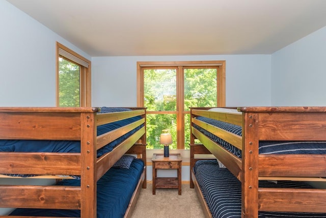 19260 Lakewood Dr, Deerwood Twp, MN 56444 - view of carpeted bedroom