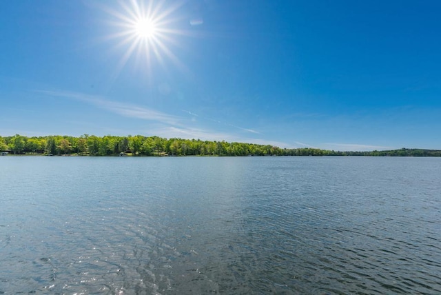 19260 Lakewood Dr, Deerwood Twp, MN 56444 - water view