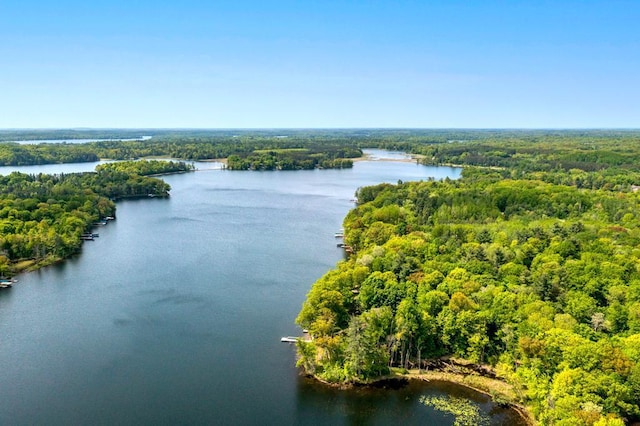 19260 Lakewood Dr, Deerwood Twp, MN 56444 - bird's eye view of a forest and a nearby body of water
