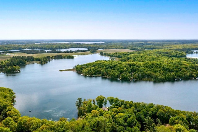 19260 Lakewood Dr, Deerwood Twp, MN 56444 - aerial view of a nearby body of water and a heavily wooded area