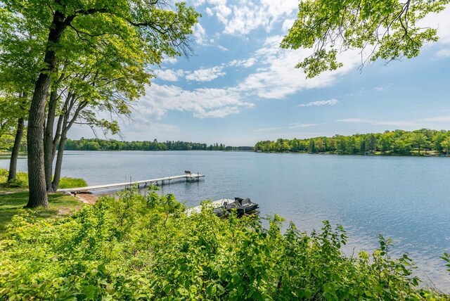 19260 Lakewood Dr, Deerwood Twp, MN 56444 - water view featuring a boat dock