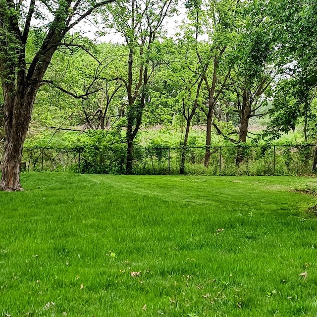 1308 73rd St, Richfield, MN 55423 - view of yard