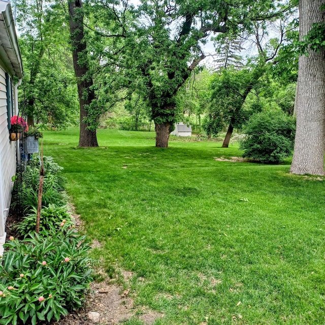 1308 73rd St, Richfield, MN 55423 - view of grassy yard