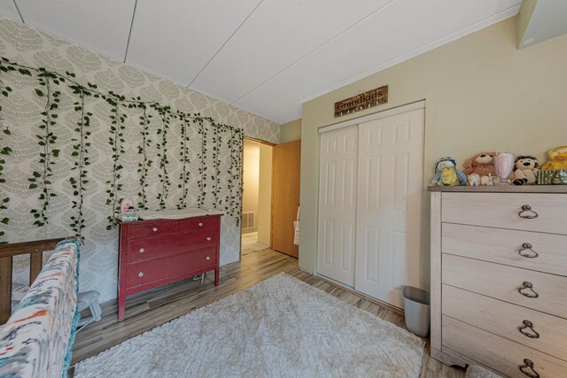 1858 Kennedy Ct, Northfield, MN 55057 - bedroom with wood finished floors and a closet