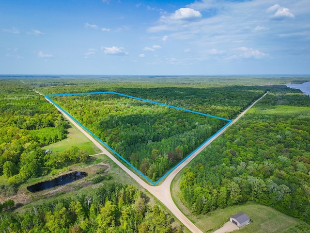 TBD 315th Ave, Hart Lake Twp, MN 56461 - photo 1