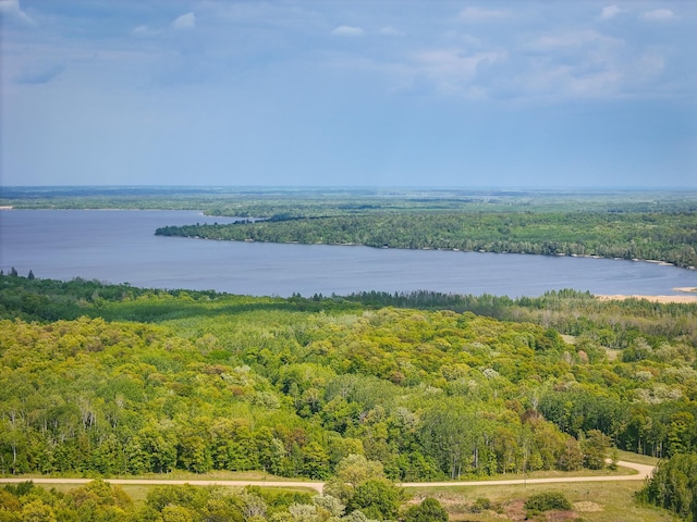 TBD 315th Ave, Hart Lake Twp, MN 56461 - photo 4