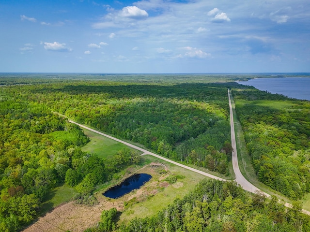 TBD 315th Ave, Hart Lake Twp, MN 56461 - photo 6