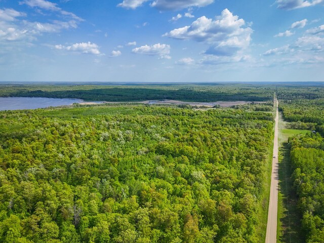 TBD 315th Ave, Hart Lake Twp, MN 56461 - photo 7