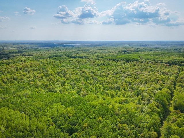 TBD 315th Ave, Hart Lake Twp, MN 56461 - photo 8
