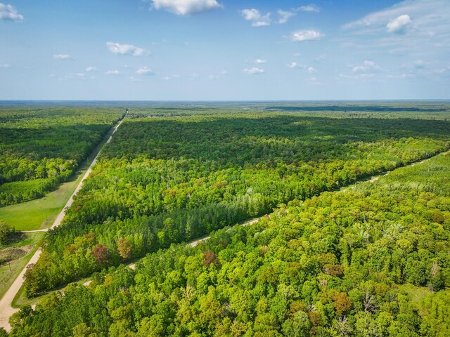 TBD 315th Ave, Hart Lake Twp, MN 56461 - photo 9