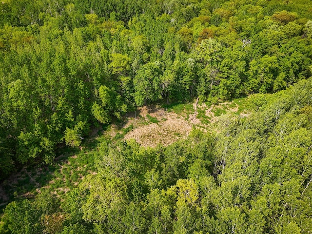TBD 315th Ave, Hart Lake Twp, MN 56461 - photo 11