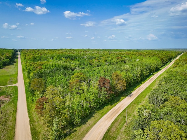TBD 315th Ave, Hart Lake Twp, MN 56461 - photo 12