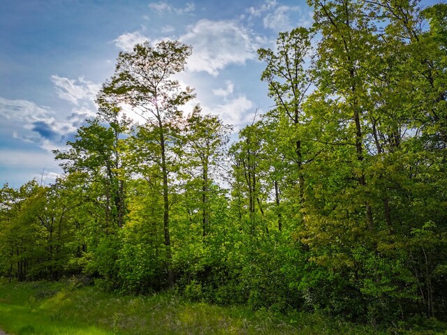 TBD 315th Ave, Hart Lake Twp, MN 56461 - photo 13