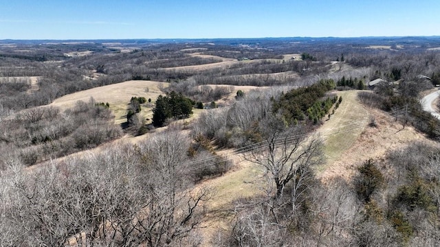 N30732 Square Bluff Rd, Blair, WI 54616 - drone / aerial view
