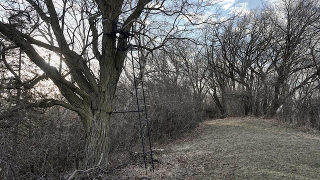 N30732 Square Bluff Rd, Blair, WI 54616 - view of tree filled area