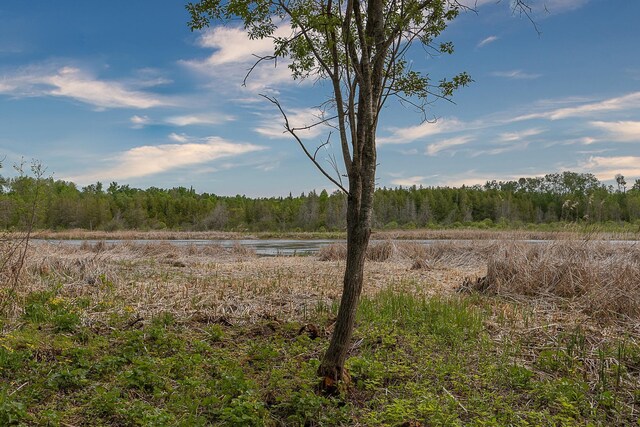 1756 County Road 7 NE, Longville, MN 56655 - view of woods with a water view