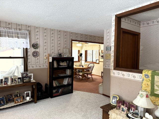 7780 Fawn Lake Dr NE, Stacy, MN 55079 - sitting room featuring a textured ceiling, carpet floors, and wallpapered walls