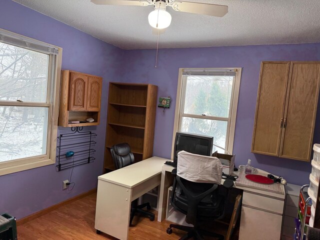 7780 Fawn Lake Dr NE, Stacy, MN 55079 - home office featuring light wood-style flooring, a textured ceiling, and ceiling fan