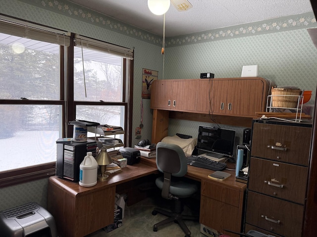 7780 Fawn Lake Dr NE, Stacy, MN 55079 - office space with wallpapered walls