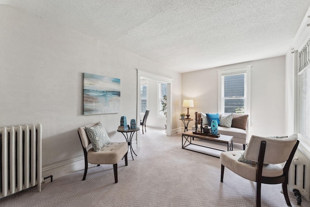 1404 Russell Ave N, Minneapolis, MN 55411 - living area featuring radiator, a textured ceiling, carpet, plenty of natural light, and baseboards