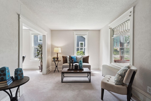 1404 Russell Ave N, Minneapolis, MN 55411 - carpeted living area featuring plenty of natural light, a textured ceiling, a textured wall, radiator, and baseboards