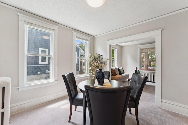 1404 Russell Ave N, Minneapolis, MN 55411 - dining area featuring carpet flooring, radiator, plenty of natural light, a textured ceiling, and crown molding